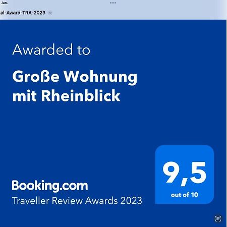 Grosse Wohnung Mit Rheinblick 博帕德 外观 照片