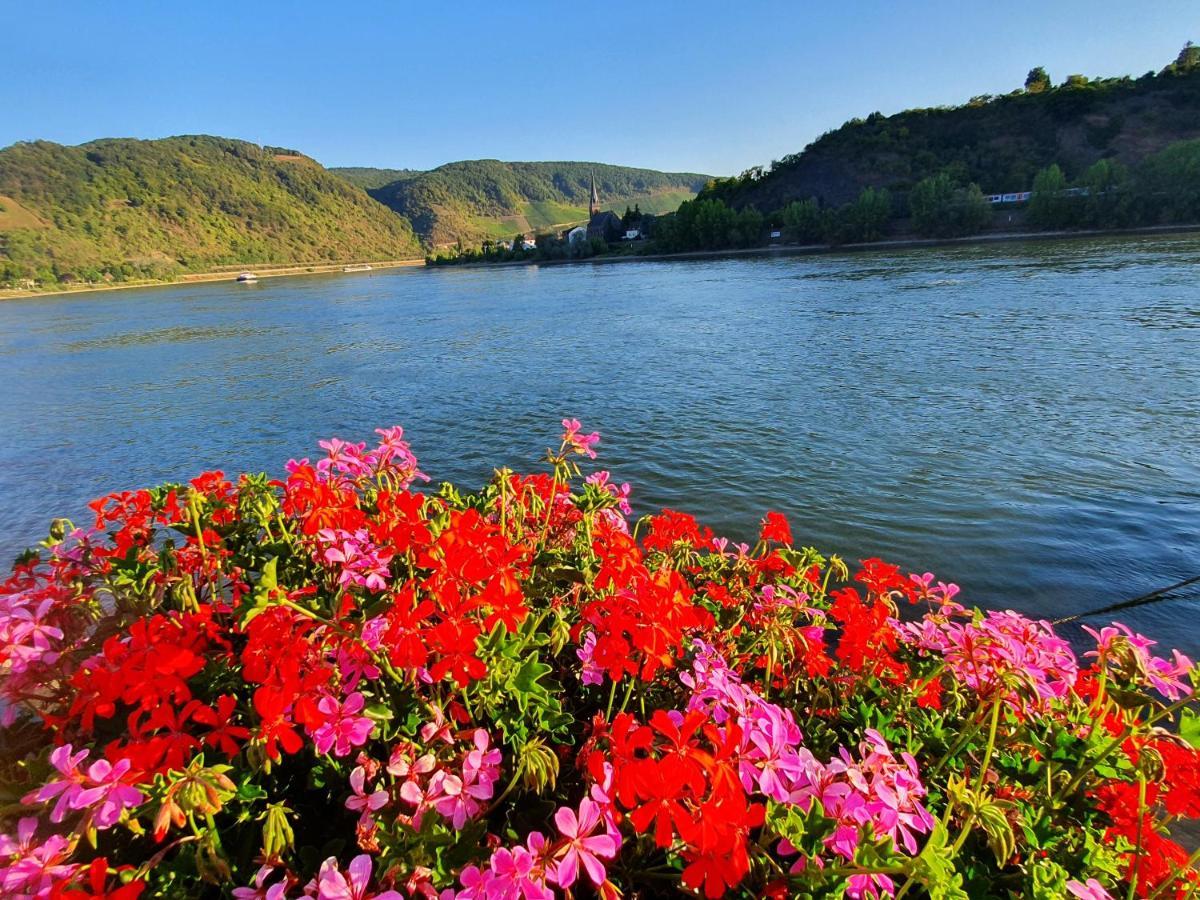Grosse Wohnung Mit Rheinblick 博帕德 外观 照片