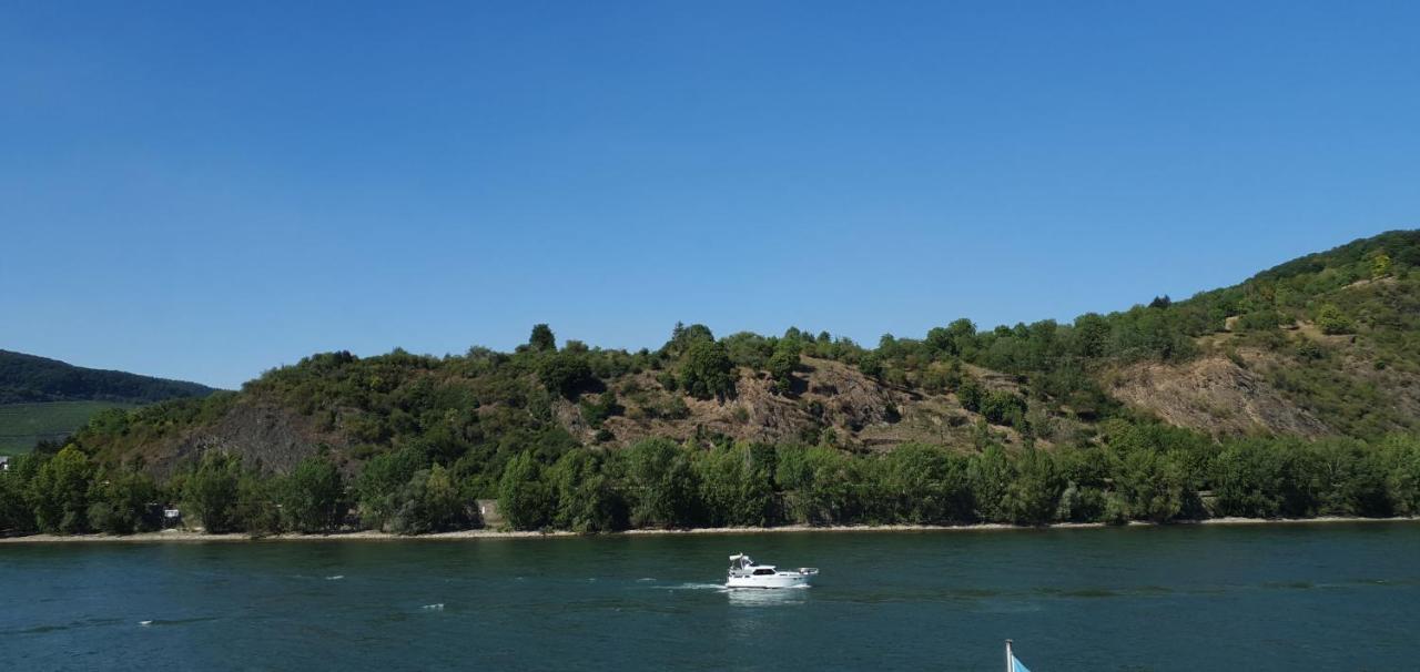 Grosse Wohnung Mit Rheinblick 博帕德 外观 照片