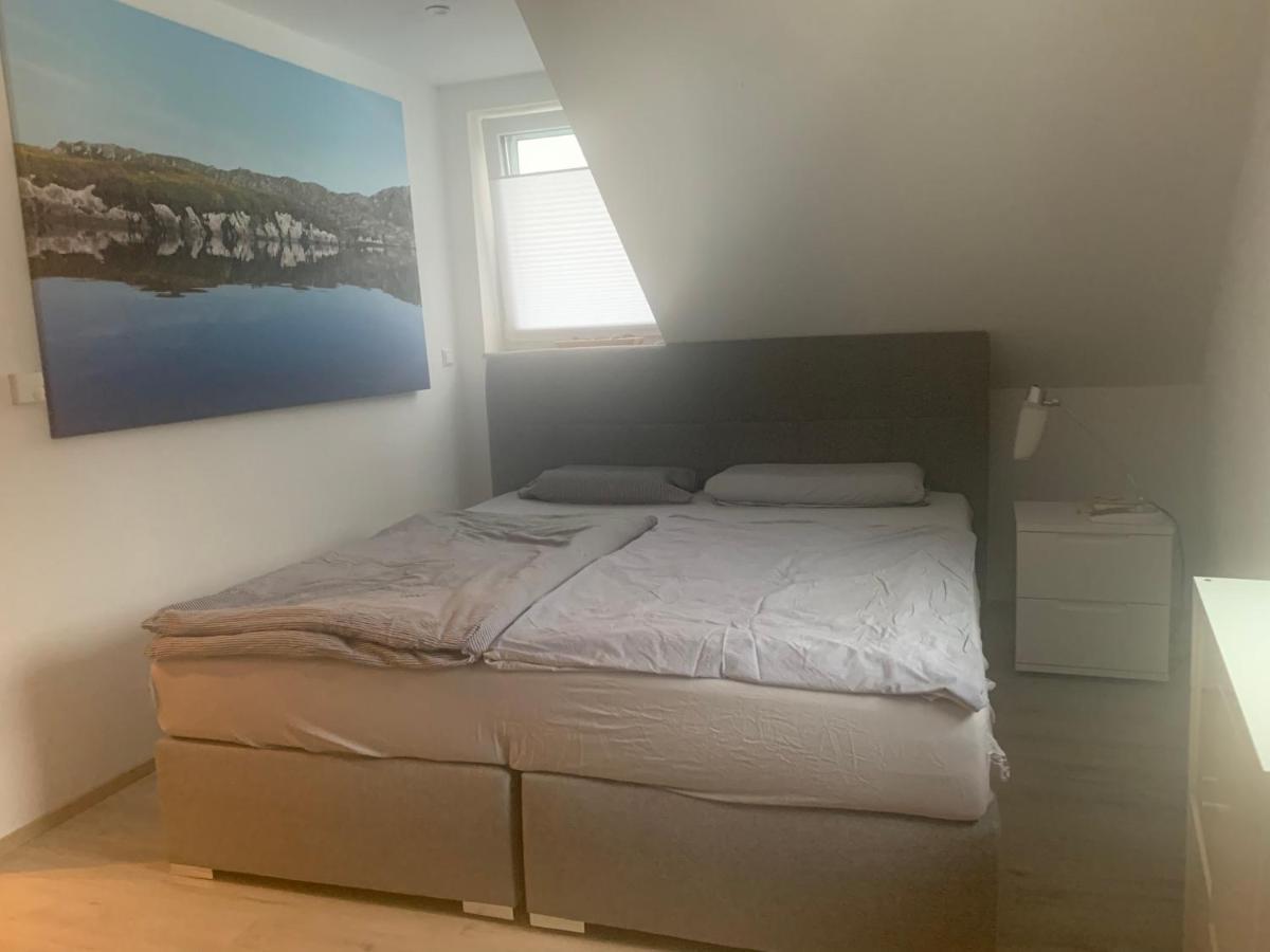 Grosse Wohnung Mit Rheinblick 博帕德 外观 照片
